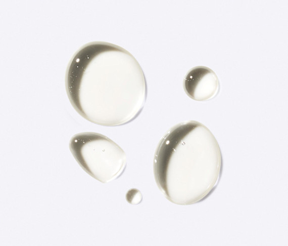 Choline Chloride Ingredient