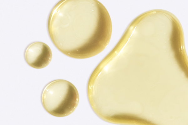 A Deep Dive Into Algal Oil vs. Fish Oil